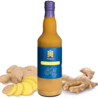 Syropy i koncentraty owocowe - Syrop z Imbiru 500ml Polski Produkt RAGLAN - miniaturka - grafika 1