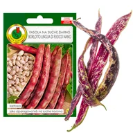 Nasiona i cebule - FASOLA NA SUCHE NASIONA BORLOTTO NASIONA BEZ GMO - miniaturka - grafika 1