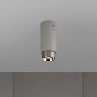 Lampy sufitowe - Lampa Exhaust Surface Szara ze stalą - miniaturka - grafika 1