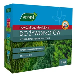 Nawóz do tuji 3 kg 4 miesiące Westland - Nawozy ogrodnicze - miniaturka - grafika 1