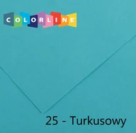 Szkolne artykuły papiernicze - Brystol Canson Colorline 25 turkusowy 150g 10k [mm:] 500x650 (200041401) - miniaturka - grafika 1