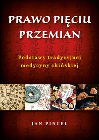 ABA Prawo pięciu przemian. Podstawy tradycyjnej medycyny chińskiej Pincel Jan - Moda i uroda - miniaturka - grafika 2