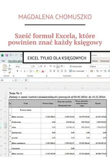 Sześć formuł Excela, które powinien znać każdy księgowy - E-booki - informatyka - miniaturka - grafika 1