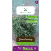 Nasiona i cebule - Tymianek właściwy Thymus vulgaris nasiona ziół W.Legutko - miniaturka - grafika 1