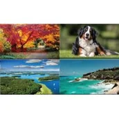 Kalendarze - Kalendarz 2024 Ścienny Trójdzielny Płaski - miniaturka - grafika 1