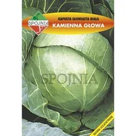 Nasiona i cebule - Nasiona Kapusta Biała Kamienna Głowa 2G. Spójnia - miniaturka - grafika 1