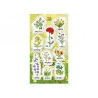 Zabawki kreatywne - Ranok-Creative Naklejki Kwiaty polne - miniaturka - grafika 1