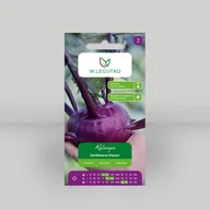 Nasiona i cebule - Kalarepa Delikatess blauer Fioletowa 2g - Nasiona - W. Legutko - miniaturka - grafika 1