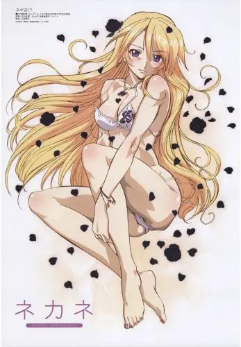 Plakat Magister Negi Magi MSN_040 A2 (custom)