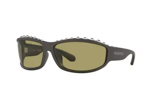 Okulary przeciwsłoneczne - Okulary Przeciwsłoneczne Swarovski SK 6009 102182 - grafika 1