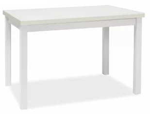 STÓŁ ADAM BIAŁY MAT 100140x60 - Stoły - miniaturka - grafika 1