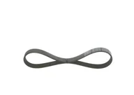 Mechanizmy rozrządu - BOSCH Pasek klinowy wielorowkowy 1 987 946 025 - miniaturka - grafika 1