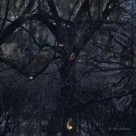 Pop - ...By the Shadows... - miniaturka - grafika 1