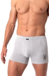 Bokserki męskie bawełniane szare z motywem żuka MXH 254 Key - Majtki męskie - miniaturka - grafika 1