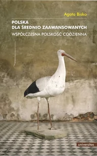 Polska dla średnio zaawansowanych. Współczesna polskość codzienna - E-booki - nauka - miniaturka - grafika 1