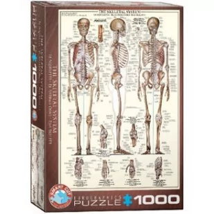 Eurographics Puzzle 1000 Układ szkieletowy 6000-3970 - Puzzle - miniaturka - grafika 2