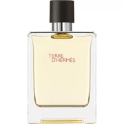 Hermes Terre DHermes EDT 100ml 400003