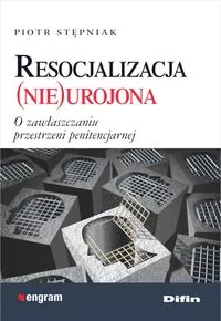 Difin Resocjalizacja nieurojona - Piotr Stępniak - Pedagogika i dydaktyka - miniaturka - grafika 2