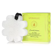 Rękawice i gąbki do kąpieli - Spongelle, Boxed Flower, Gąbka Nasączona Mydłem Do Mycia Ciała, Coconut Verbena - miniaturka - grafika 1