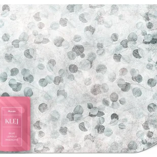 FOTOTAPETA DO SYPIALNI SALONU SZARE LIŚCIE EUKALIPTUSA BETON LOFT 150x105 - Fototapety FOTOTAPETA DO SYPIALNI SALONU SZARE LIŚCIE EUKALIPTUSA BETON LOFT 150x105 - Fototapety - miniaturka - grafika 1