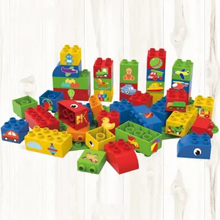 B&B BiOBUDDi BiOBUDDi 40-elementowy zestaw klocków edukacyjnych 0006 0006 - Klocki - miniaturka - grafika 1