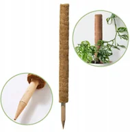 Pozostałe akcesoria do uprawy roślin - Palik kokosowy 60 cm podpora do roślin tyczka - miniaturka - grafika 1