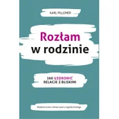 Pozostałe książki - Rozłam w rodzinie: Jak uzdrowić relacje z bliskimi - miniaturka - grafika 1
