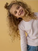 Bluzki dla dziewczynek - Reserved - Koszulka z haftowanym wzorem - lawendowy - miniaturka - grafika 1