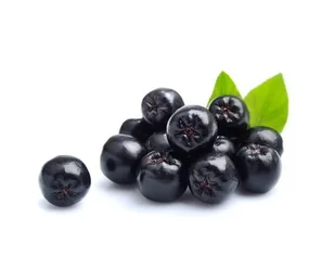 Aronia EQUIHERBS cały owoc DOYPACK 1000g - Pasze dla zwierząt - miniaturka - grafika 1