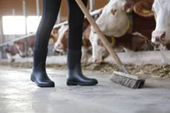 Buty do jazdy konnej - Kalosze jeździeckie NeoLite, czarny, roz. 38, Covalliero - miniaturka - grafika 1
