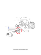 Części i akcesoria do maszyn rolniczych - NEW HOLLAND CASE Koło zębate wałka WOM CNH 5161710 5161710 - miniaturka - grafika 1