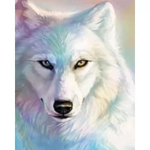 Malowanie po numerach Biały Wilk 40 x 50 5543 - Malowanie po numerach - miniaturka - grafika 1