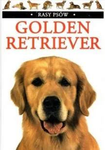 Rasy Psów Golden Retriever - Poradniki hobbystyczne - miniaturka - grafika 1
