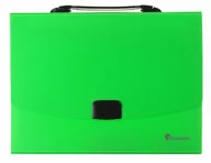 Artykuły biurowe - Hasta Teczka z Raczka PCV A4/40mm 12przegr Fluo zielony Fo - miniaturka - grafika 1