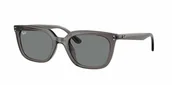 Okulary przeciwsłoneczne - Okulary Przeciwsłoneczne Ray-Ban RB 4439D Transparent Grey - miniaturka - grafika 1