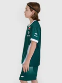 Spodnie i spodenki dla chłopców - 4F Spodenki meczowe replika dziecięce 4F x Polska Siatkówka - zielone 110/116 - miniaturka - grafika 1