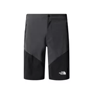 Spodnie sportowe męskie - Spodenki The North Face Felik 0A825XK1C1 - szaro-czarne - miniaturka - grafika 1