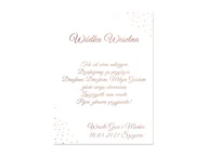 Wesele i ślub - Etykiety personalizowane na butelkę z Wódką Weselną - 9 szt. - miniaturka - grafika 1