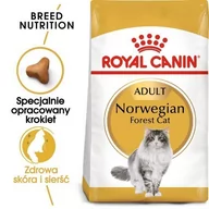 Sucha karma dla kotów - Royal Canin Norwegian Forest Adult 0,4 kg - miniaturka - grafika 1