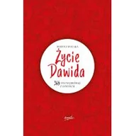 Religia i religioznawstwo - Dorota Wolska Życie Dawida 365 dni wędrówki z Dawidem - miniaturka - grafika 1