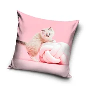 Kołdry i poduszki dla dzieci - Carbotex, Kot, Poszewka na poduszkę, 40x40 cm - miniaturka - grafika 1