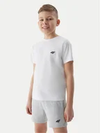 Spodenki damskie - 4F Szorty sportowe 4FJWSS24TSHOM272 Szary Regular Fit - miniaturka - grafika 1