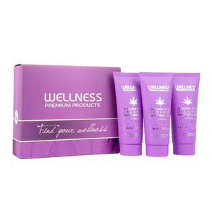 Wellness Wellness Pielęgnacja włosów Mini zestaw SILVER 2x szampon 50ml maska 50ml - Zestawy kosmetyków damskich - miniaturka - grafika 1