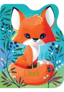 Lisek - Pedagogika i dydaktyka - miniaturka - grafika 1