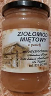 Miód - Ziołomiód miętowy 400g Miody z Łochowa - miniaturka - grafika 1