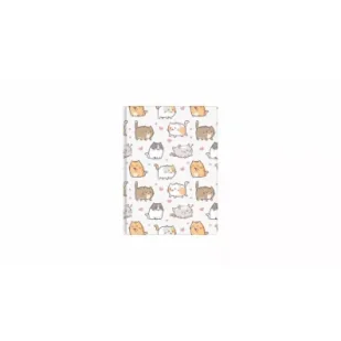 Biurfol Notes A6 kratka kittens - Notesy i bloczki - miniaturka - grafika 1
