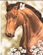 Malowanie po numerach - Norimpex, Malowanie po numerach, Koń - miniaturka - grafika 1