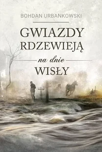 Gwiazdy rdzewieją na dnie Wisły - Literatura obyczajowa - miniaturka - grafika 1