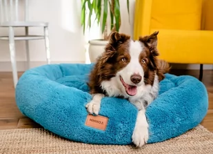 MIMIKO Pets Legowisko Shaggy okrągłe XXL 100cm turkusowe - Legowiska dla psów - miniaturka - grafika 2