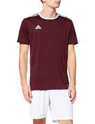 Koszulki męskie - Adidas Koszulka Męska Treningowa Bordo CF1038 - miniaturka - grafika 1